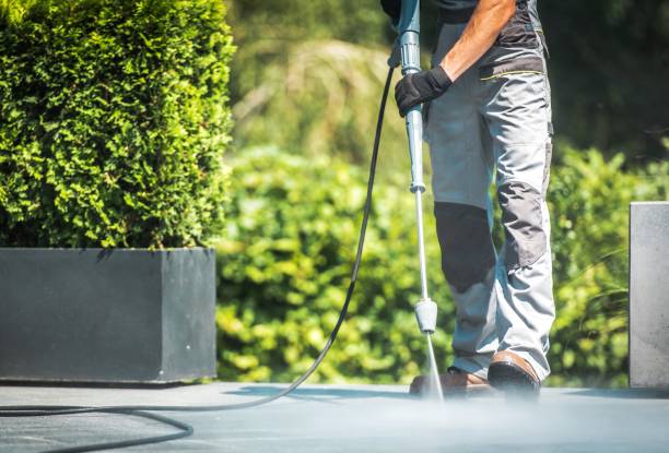 Best Driveway Pressure Washing  in Warson Woods, MO