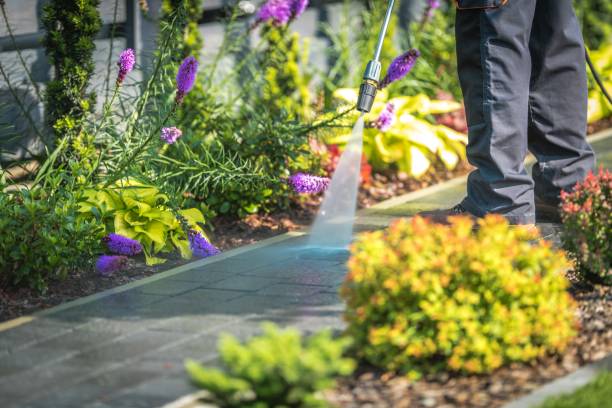Best Winterizing Services  in Warson Woods, MO